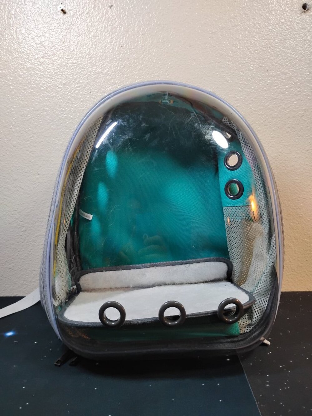 Pet Bubble Backpack Carrier Clear View Travel Bag Teal Blue Breathable Small Dog